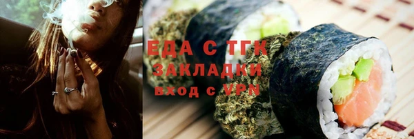сатива Новозыбков
