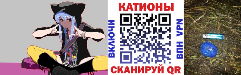 как найти   Калач-на-Дону  МЯУ-МЯУ мяу мяу 